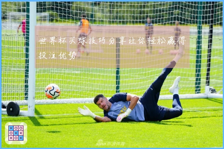 世界杯买球技巧分享让你轻松赢得投注优势