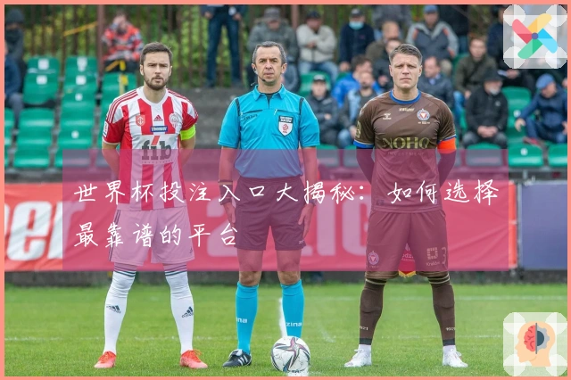 世界杯投注入口大揭秘：如何选择最靠谱的平台