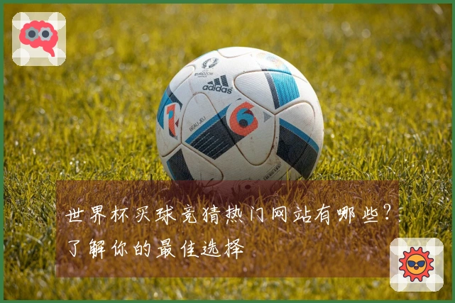 世界杯买球竞猜热门网站有哪些？了解你的最佳选择