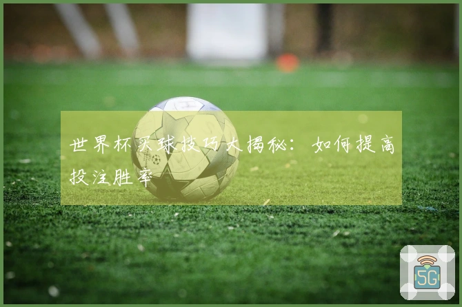 世界杯买球技巧大揭秘：如何提高投注胜率